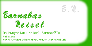 barnabas meisel business card